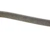 Ремінь П-клиновий Dayco DAYCO 7PK1605 (фото 3)