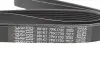 Ремінь П-клиновий Dayco DAYCO 7PK1730 (фото 4)