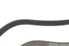Ремінь генератора BMW 5 (G30/F90)/X3 (G01/F97) 16- B47 (8PK1162) DAYCO 8PK1162H (фото 3)