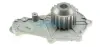 Водяний насос FIAT/FORD/PEUGEOT/SUZUKI/VOLVO Scudo/Fiesta/206/307/SX4/S40/S80 \'\'1,5-1,6D "03>> DAYCO DP077