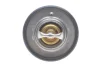 Термостат Fiat Ducato/Ford Transit 2.2 D/TDCi 00- (88) DAYCO DT1016V (фото 4)