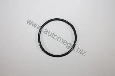 Прокладка термостата VW Passat 1.9TDi-2.5TDI 98- (більша) DELLO/AUTOMEGA 190036220