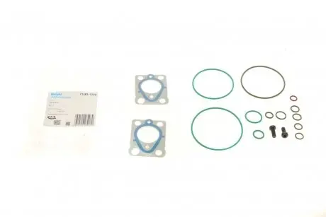 Елемент насосу Common Rail Delphi 7135559