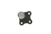 Кульова опора ALFAROMEO/CITROEN/FIAT/OPEL/PEUGEOT Mito/Punto/Fiesta/Corsa D/Bipper "F "08>> Delphi TC1807 (фото 3)
