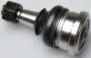Кульова опора Peugeot 107 6/05- Toyota Aygo 7/05-, Yaris 4/99-, Yaris Verso 11/99- DENCKERMANN D110055 (фото 1)