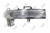 KIERUNKOWSKAZ VW CRAFTER 17-,MAN TGE 17-/L/ DEPO/LORO 053-53-861 (фото 2)