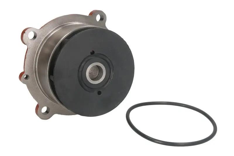 Насос охолоджуючої рідини DOLZ D301 (фото 1)