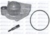 Помпа LAND ROVER/LOTUS/MG/ROVER Freelander/Elise/ZS/214 &quot;1,1-1,8 &quot;90-11 DOLZ M243 (фото 1)