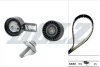 FORD К-кт ГРМ ремень 2 ролика FIESTA VI 1.4 TDCi B-MAX 1.6 TDCi PEUGEOT DOLZ SKD160 (фото 1)