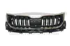 Решетка радиатора (хром) с отверстием под камеру Skoda Kodiaq (17-) DPA 88531819202 (фото 1)