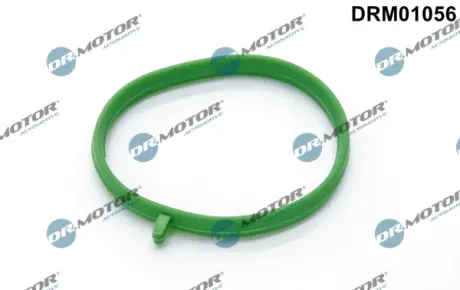 Кільце гумове DR.MOTOR DRM01056