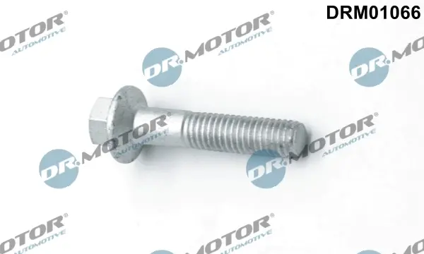 Болт з шестигранним шліцом з чорного металу DR.MOTOR DRM01066 (фото 1)
