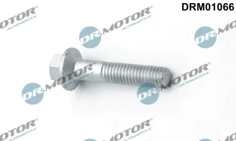 Болт з шестигранним шліцом з чорного металу DR.MOTOR DRM01066