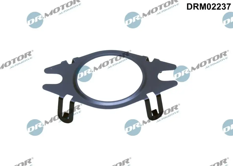 Прокладка двигуна металева DR.MOTOR DRM02237 (фото 1)