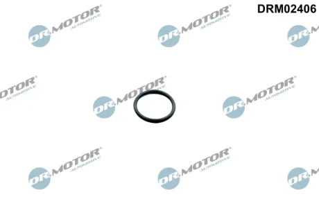 Кільце гумове DR.MOTOR DRM02406
