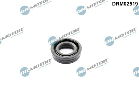 Кільце гумове DR.MOTOR DRM02519