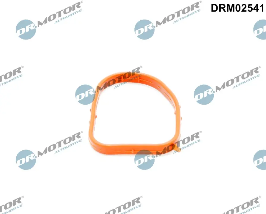 Кільце гумове DR.MOTOR DRM02541 (фото 1)