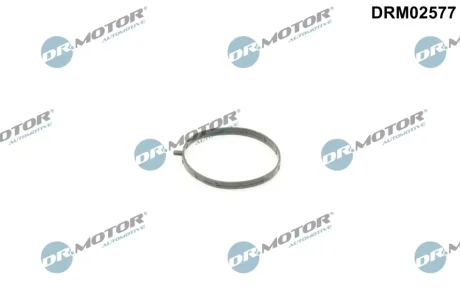Прокладка колектора двигуна гумова DR.MOTOR DRM02577