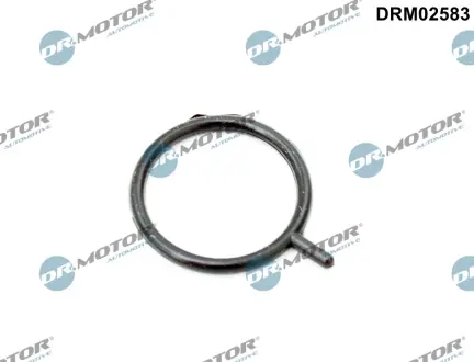 Кільце гумове DR.MOTOR DRM02583