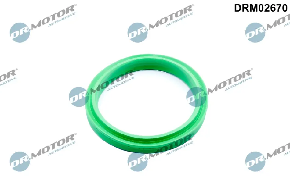 Кільце гумове DR.MOTOR DRM02670 (фото 1)