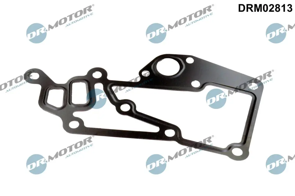 Прокладка двигуна металева DR.MOTOR DRM02813 (фото 1)