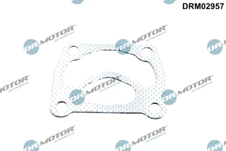 Прокладка двигуна металева DR.MOTOR DRM02957
