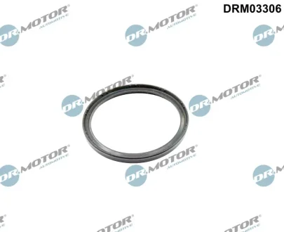 Кільце гумове DR.MOTOR DRM03306