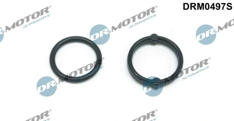 Кільце ущільнювальне теплообмінника (комплект) A20DTH DR.MOTOR DRM0497S
