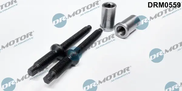 Комплект болтів з головкою системи TORX з чорного металу DR.MOTOR DRM0559 (фото 1)