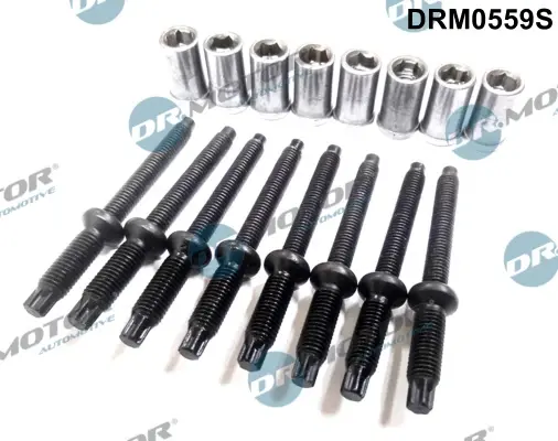 Комплект болтів з головкою системи TORX з чорного металу DR.MOTOR DRM0559S (фото 1)