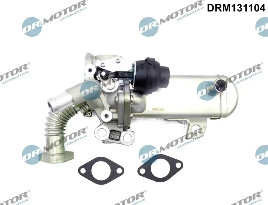 Клапан рециркуляції газів з радіатором DR.MOTOR DRM131104 (фото 1)