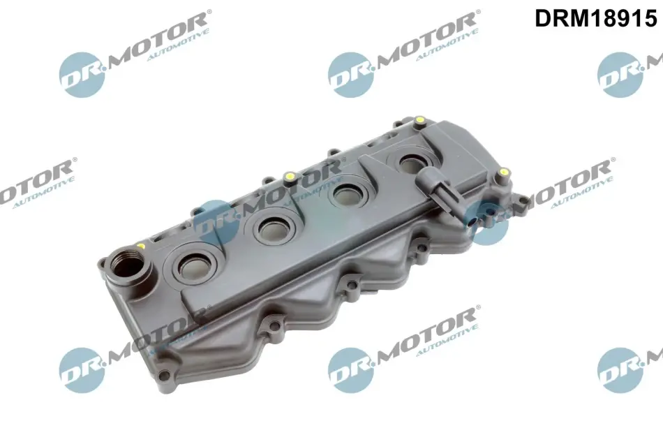 Кришка головки блоку циліндрів ДВЗ DR.MOTOR DRM18915 (фото 1)