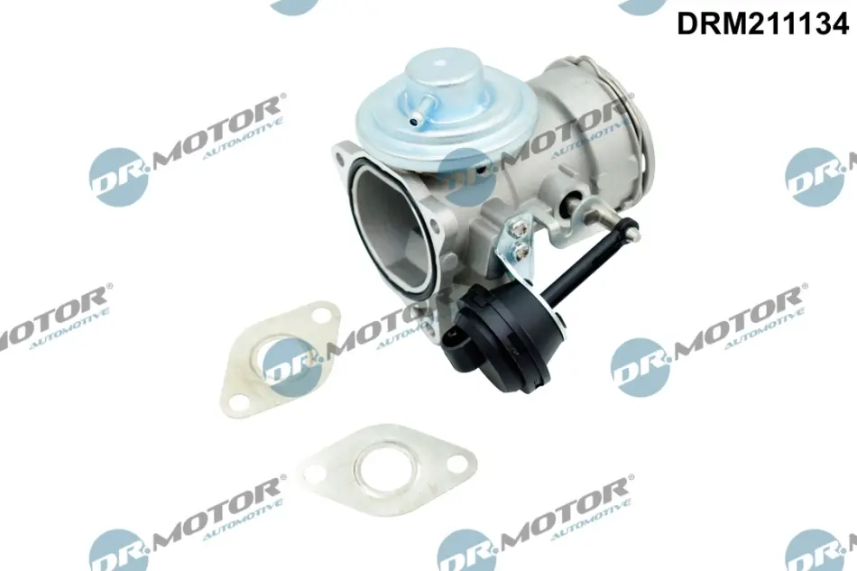Клапан рециркуляції газів DR.MOTOR DRM211134 (фото 1)