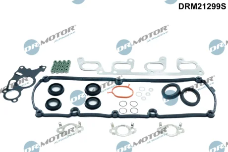 Комплект прокладок з різних матеріалів DR.MOTOR DRM21299S