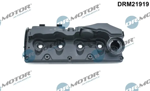 Кришка головки блоку циліндрів ДВЗ DR.MOTOR DRM21919 (фото 1)