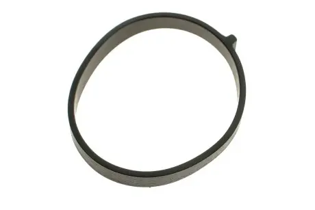 Прокладка впускний колектор BMW /B42/B48/B58 (4)(6) 16- (вир-во Elring) ELRING 076.500