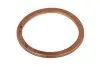 Ущільнююче кільце пробки піддону RENAULT/CITROEN/PEUGEOT/VAG/BMW 22X 27X1,5 DIN 7603 / CU A ELRING 128.503 (фото 1)