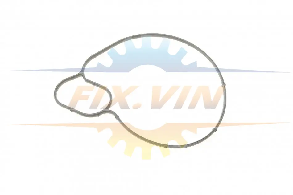 Прокладка водяного насосу BMW N63B44/S63B44 \'\'10>> ELRING 251.050 (фото 1)