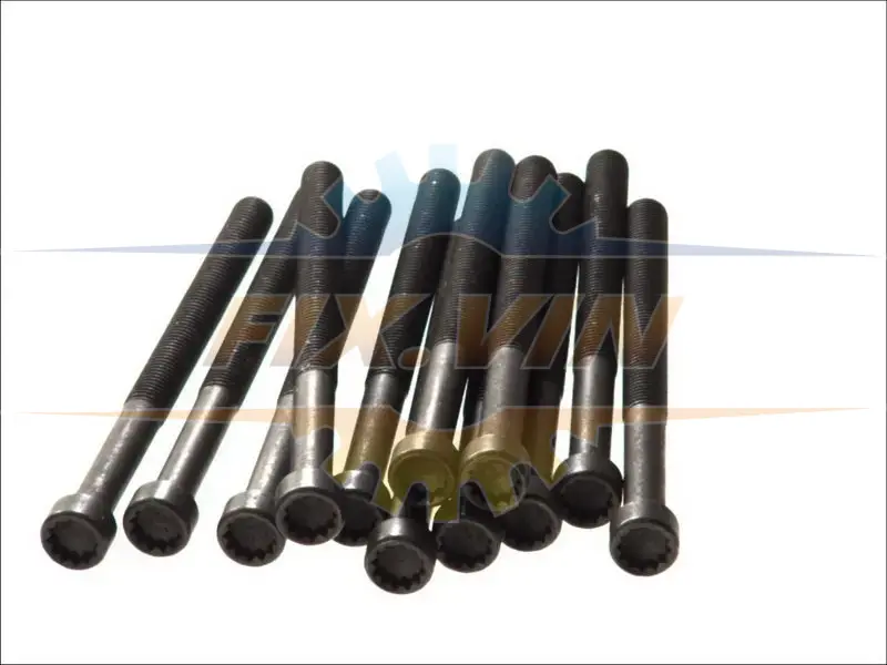 Болти головки блоку T5 2.5TDI 03- (12 шт.) ELRING 326.430 (фото 1)