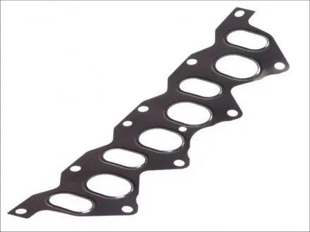 Прокладка колектора впуск/випуск Renault Clio/Kangoo/Trafic 1.7-1.9 D ELRING 421432