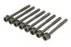Набір болтів ГБЦ MG MG ZS OPEL ADAM, ASTRA K, ASTRA K/KOMBI, CORSA E, KARL 1.0/1.0LPG 07.14- ELRING 444100 (фото 1)