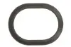 Кільце ущильнювач PORSCHE 07- ELRING 482.260 (фото 1)