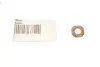 Ущільнююче кільце форсунки Bosch 7,9 x 15,5/16,7 x 1/2 Opel 499.501