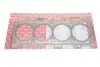 Прокладка, головка блока циліндрів NISSAN YD25DDTi 2.5 dCi 2! 0,95mm 01.2010 (вир-во Elring) ELRING 549.250 (фото 1)