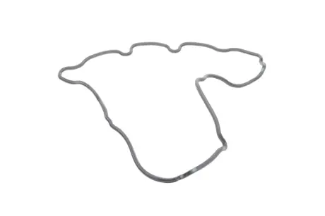 Прокладка кришки клапанів ELRING 571.730