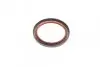 Комплект прокладок головки блоку циліндрів OPEL Astra F,Omega A, Kadett 2,0i -98 ELRING 702.383 (фото 12)