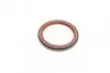 Комплект прокладок головки блоку циліндрів OPEL Astra F,Omega A, Kadett 2,0i -98 ELRING 702.383 (фото 13)