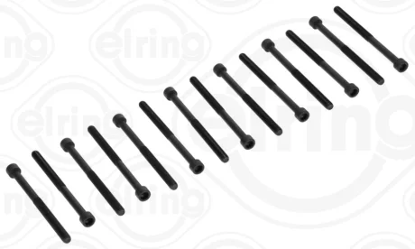 Болти головки блоку ELRING 709.500