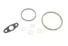 Комплект прокладок турбіни BMW 3 (E90/F30/F80)/5 (F10) 04-15 B47/M47/N47 (до 07.2013) ELRING 736.520 (фото 1)