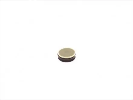Ущільнююче кільце ELRING 758876